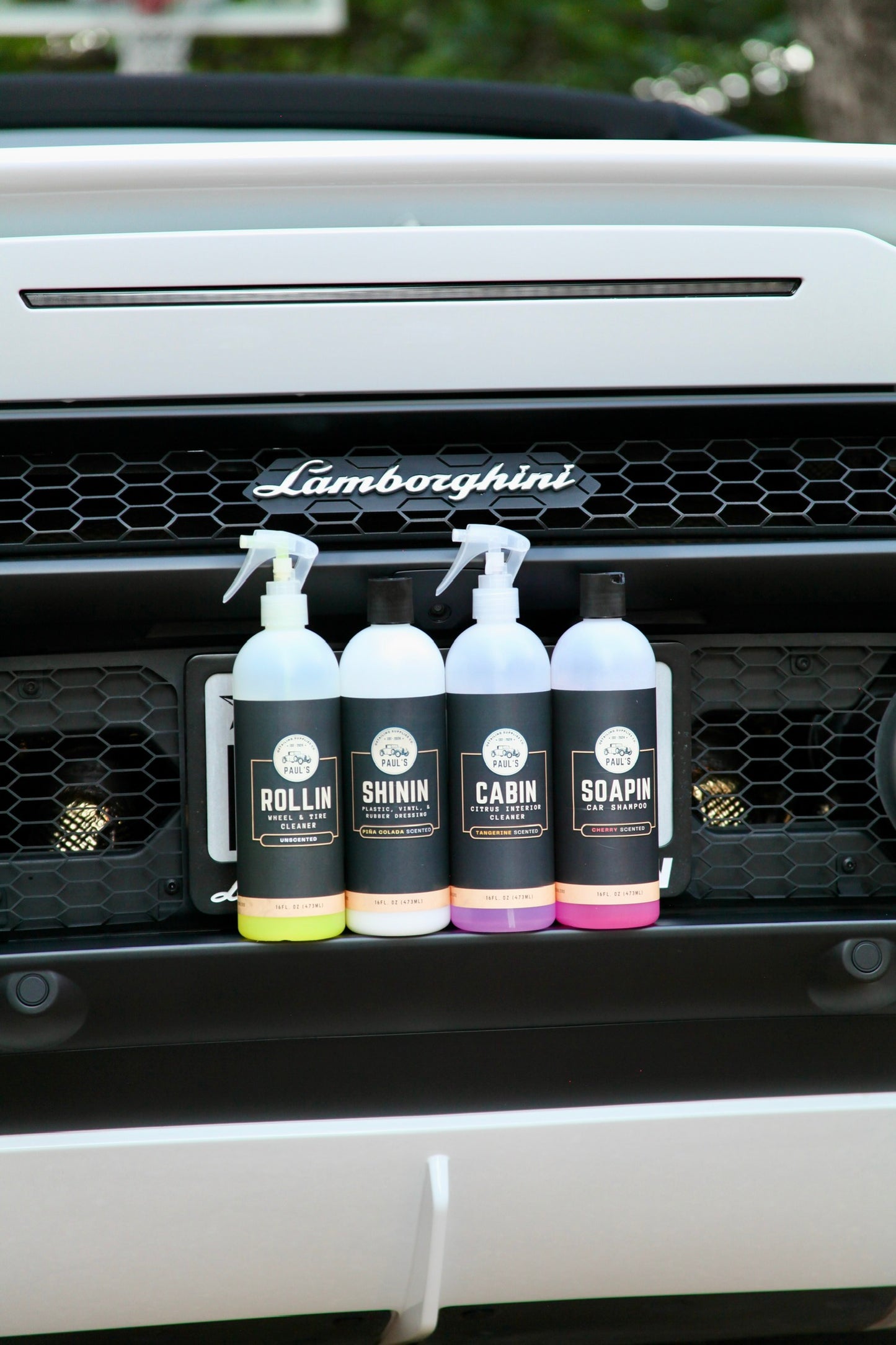 Paul's Clean Car Product Bundle - 4 Bottles